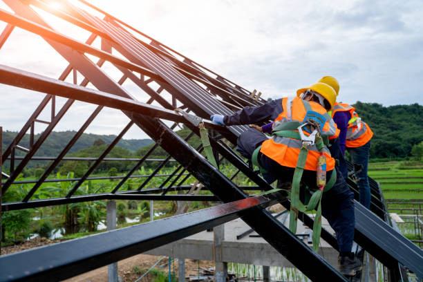 Best Flat Roof Repair Services  in Bolingbrook, IL